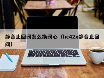 静音止回阀怎么换阀心（hc42x静音止回阀）