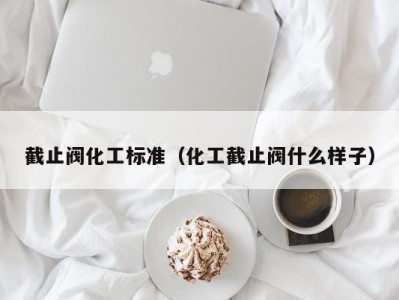 截止阀化工标准（化工截止阀什么样子）
