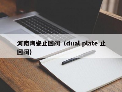 河南陶瓷止回阀（dual plate 止回阀）