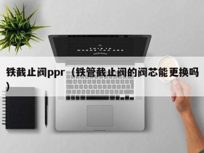 铁截止阀ppr（铁管截止阀的阀芯能更换吗）