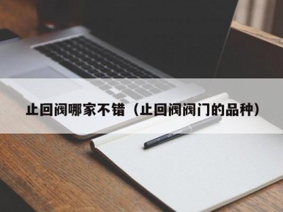 止回阀哪家不错（止回阀阀门的品种）