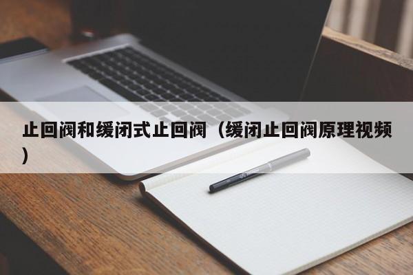 止回阀和缓闭式止回阀(缓闭止回阀原理视频)