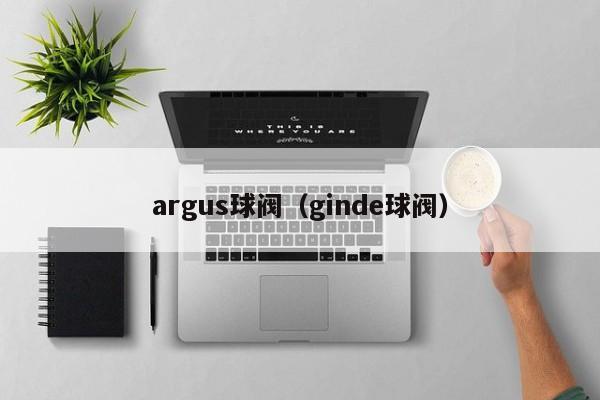 argus球阀(ginde球阀)