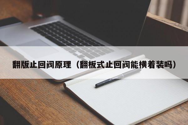 翻版止回阀原理(翻板式止回阀能横着装吗)