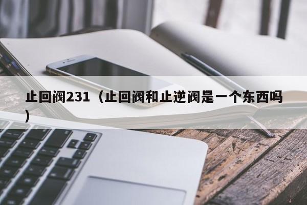 止回阀231(止回阀和止逆阀是一个东西吗)