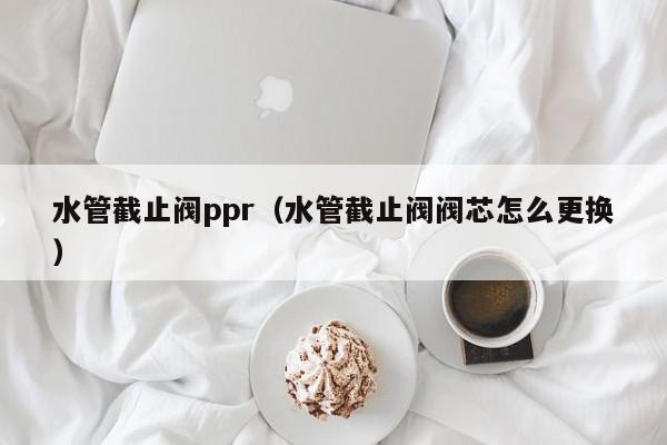 水管截止阀ppr(水管截止阀阀芯怎么更换)