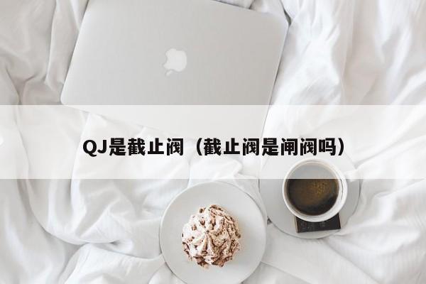QJ是截止阀(截止阀是闸阀吗)