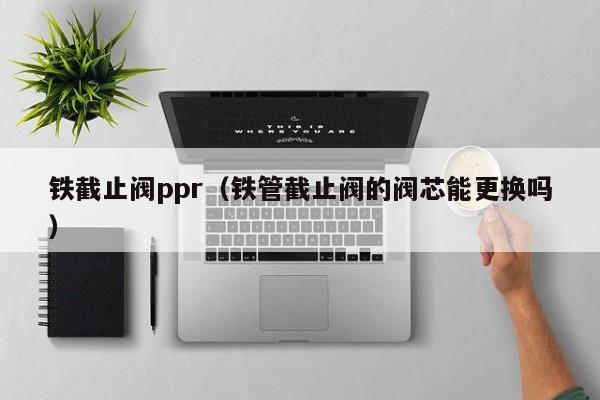 铁截止阀ppr(铁管截止阀的阀芯能更换吗)