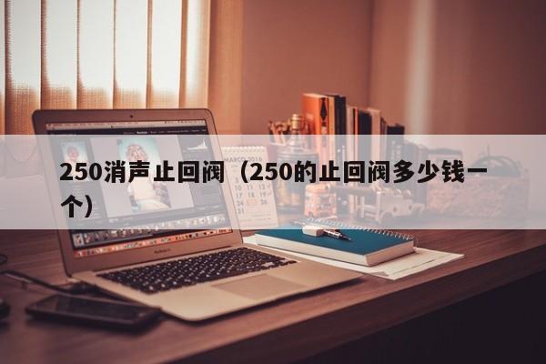 250消声止回阀(250的止回阀多少钱一个)