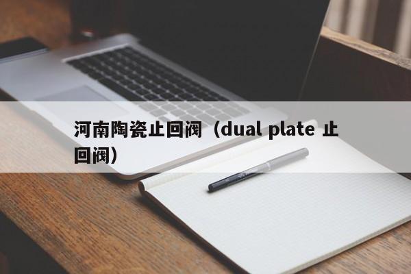 河南陶瓷止回阀(dual plate 止回阀)