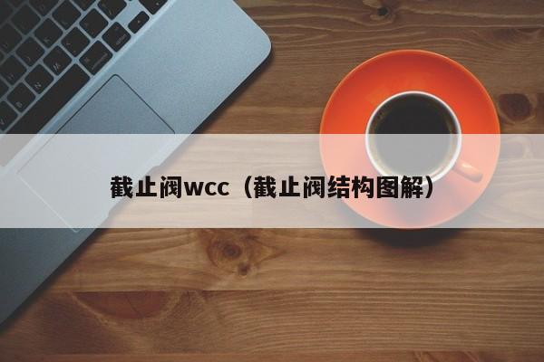 截止阀wcc(截止阀结构图解)